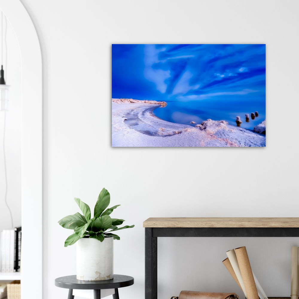 Salton Sea Beach - Premium Matte Paper Poster