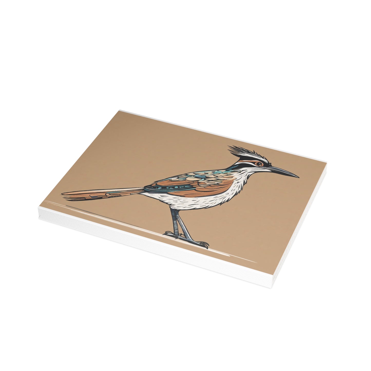 Roadrunner Postcard Bundles (envelopes not included)