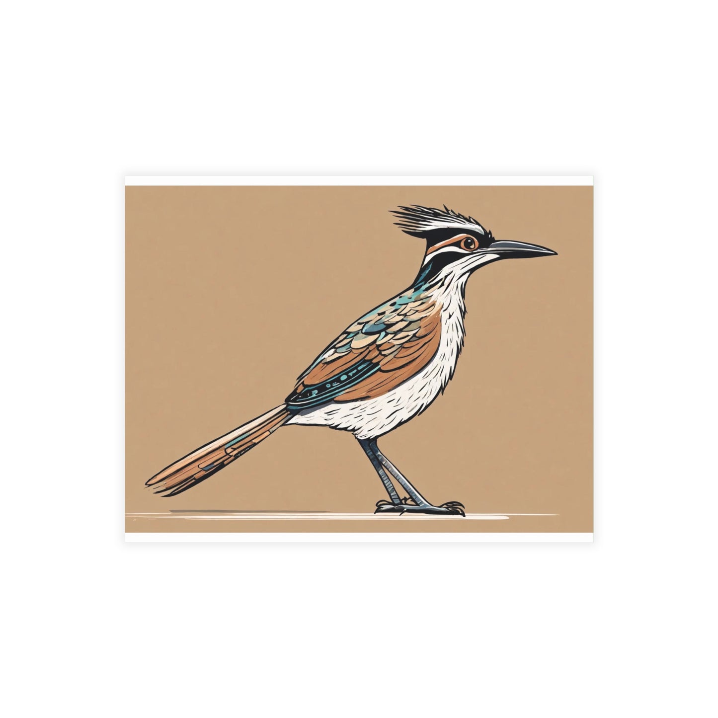 Roadrunner Postcard Bundles (envelopes not included)