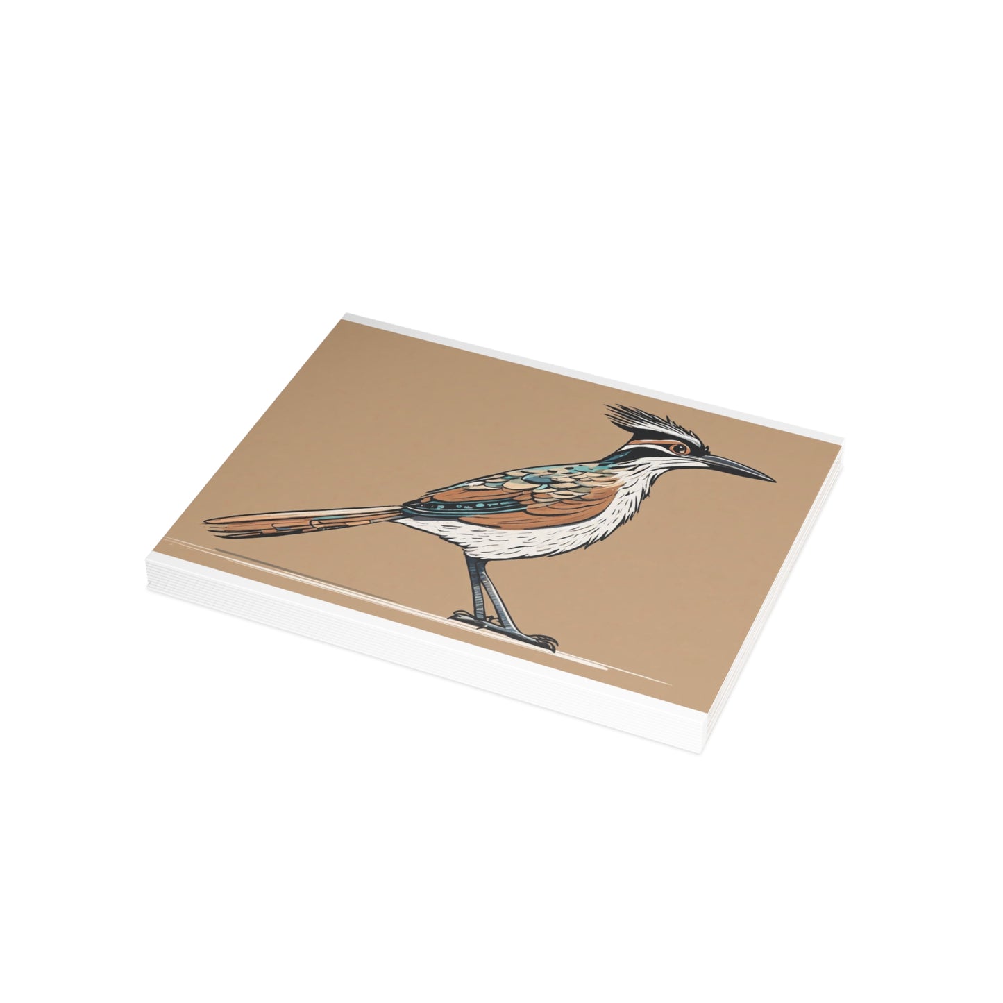 Roadrunner Postcard Bundles (envelopes not included)