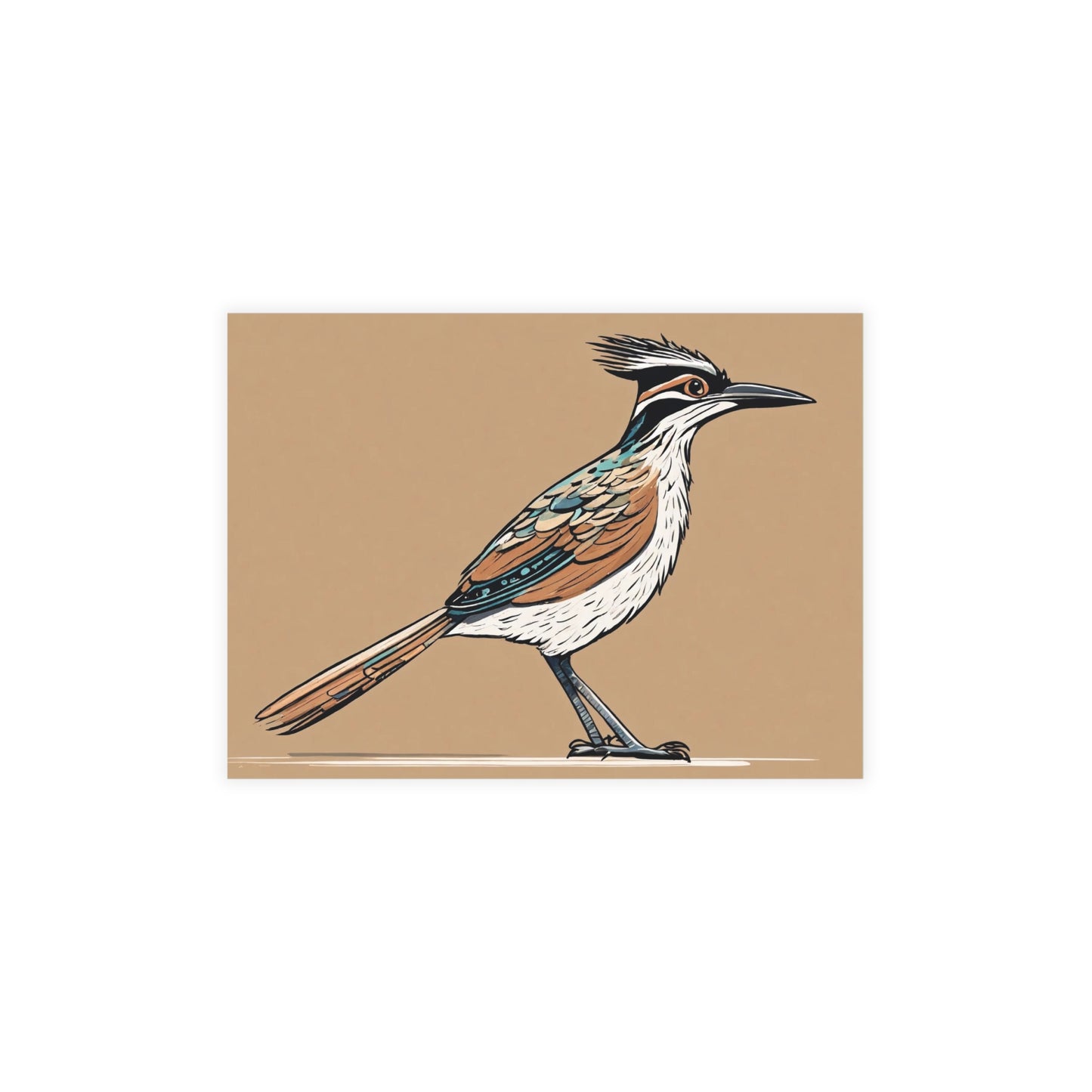 Roadrunner Postcard Bundles (envelopes not included)