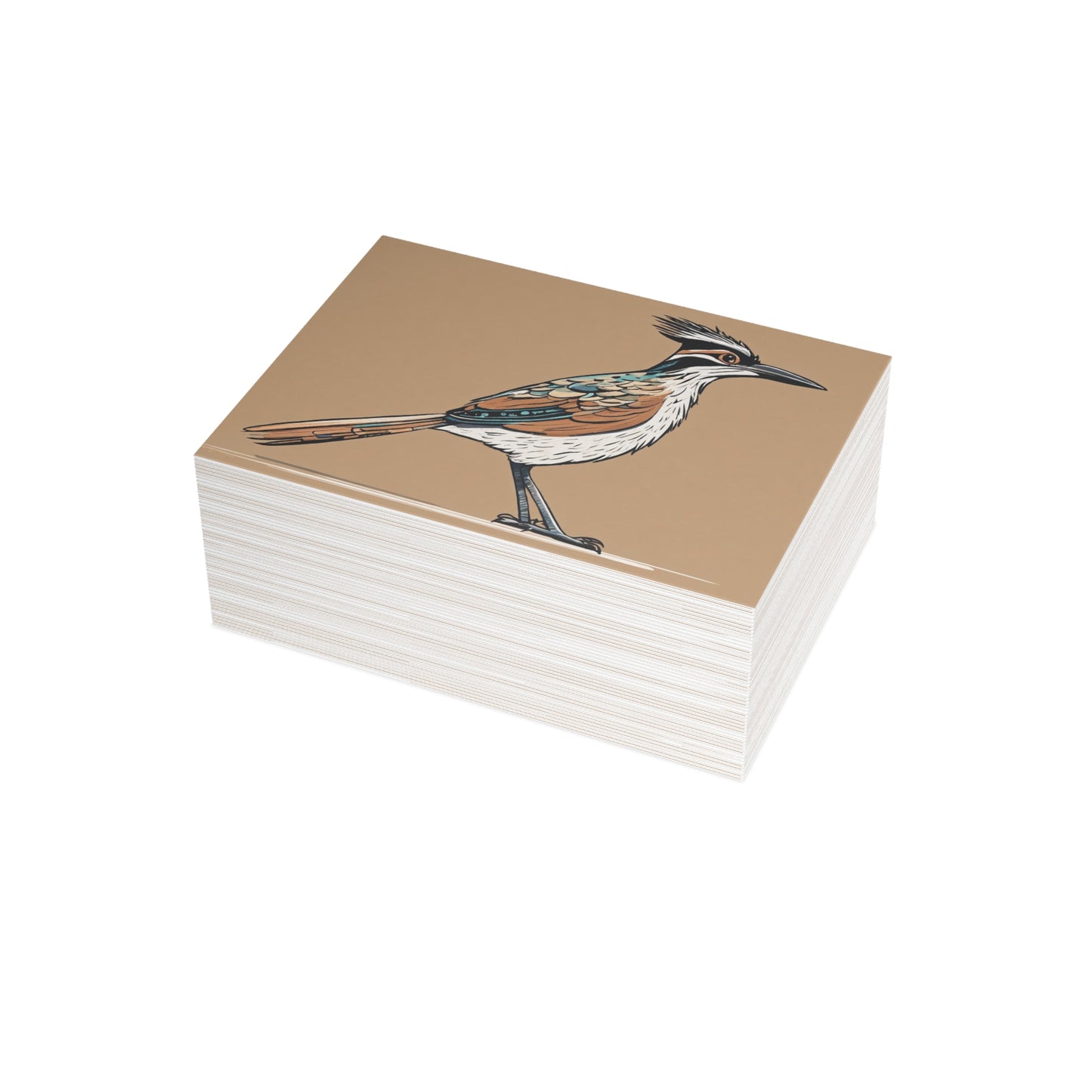 Roadrunner Postcard Bundles (envelopes not included)