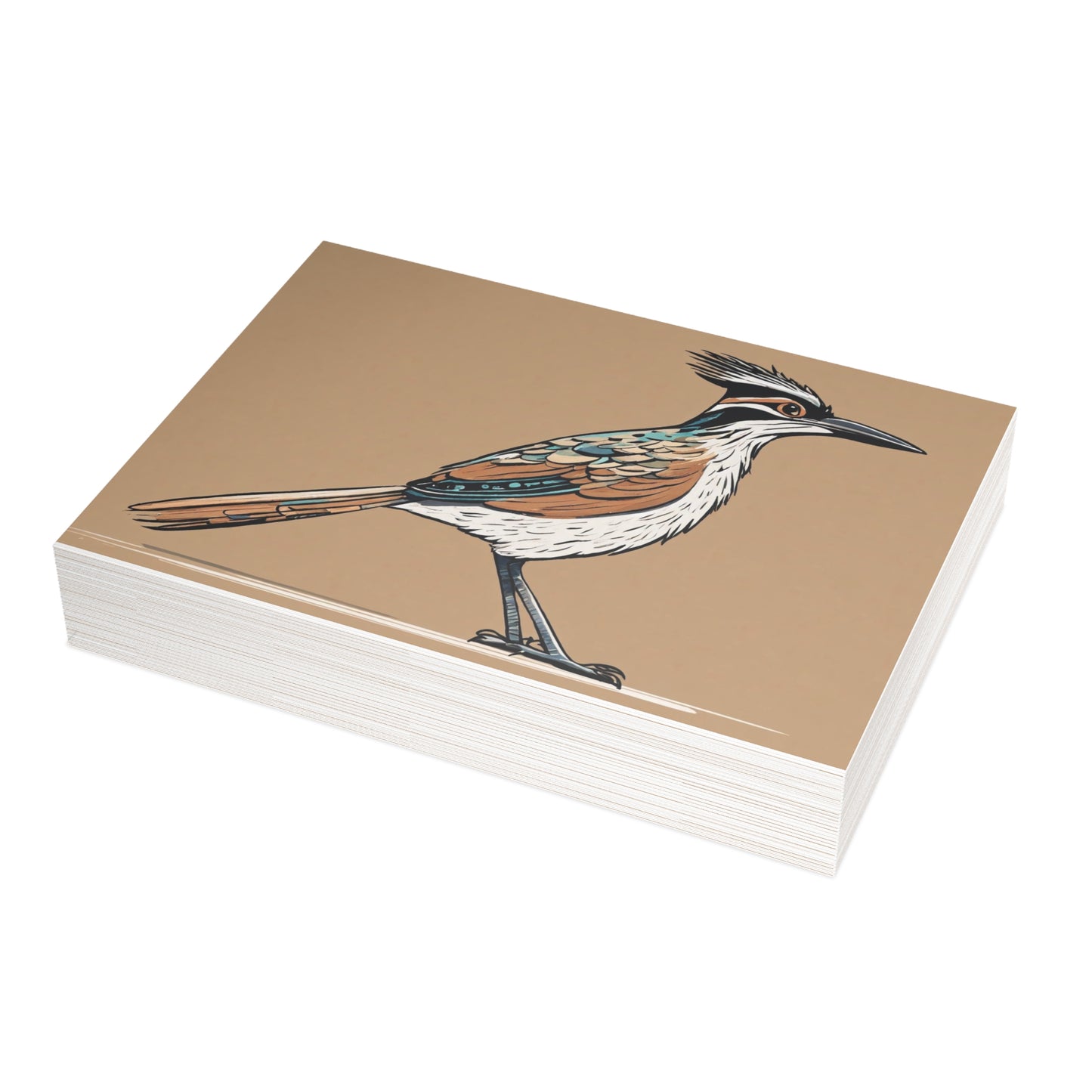 Roadrunner Postcard Bundles (envelopes not included)