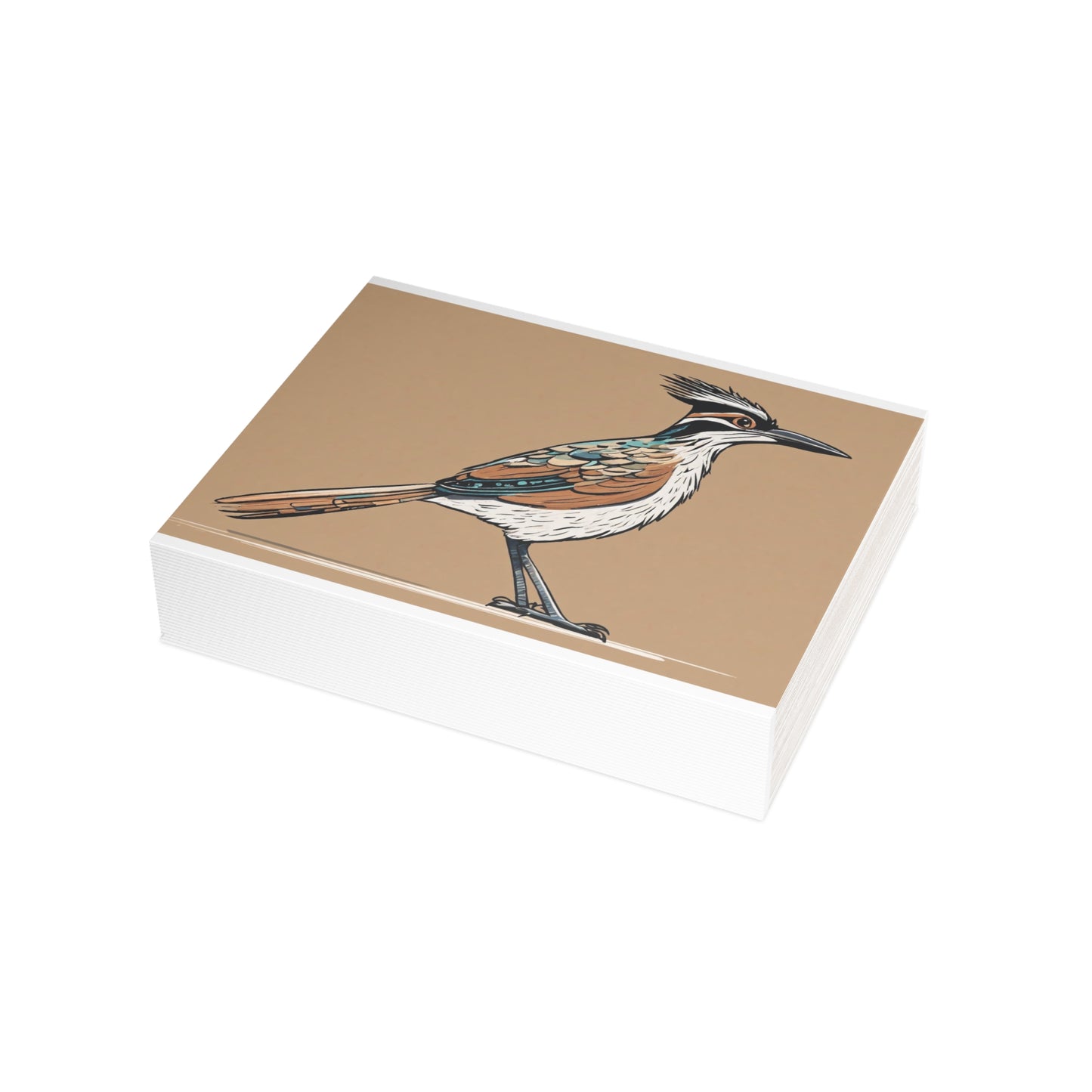 Roadrunner Postcard Bundles (envelopes not included)