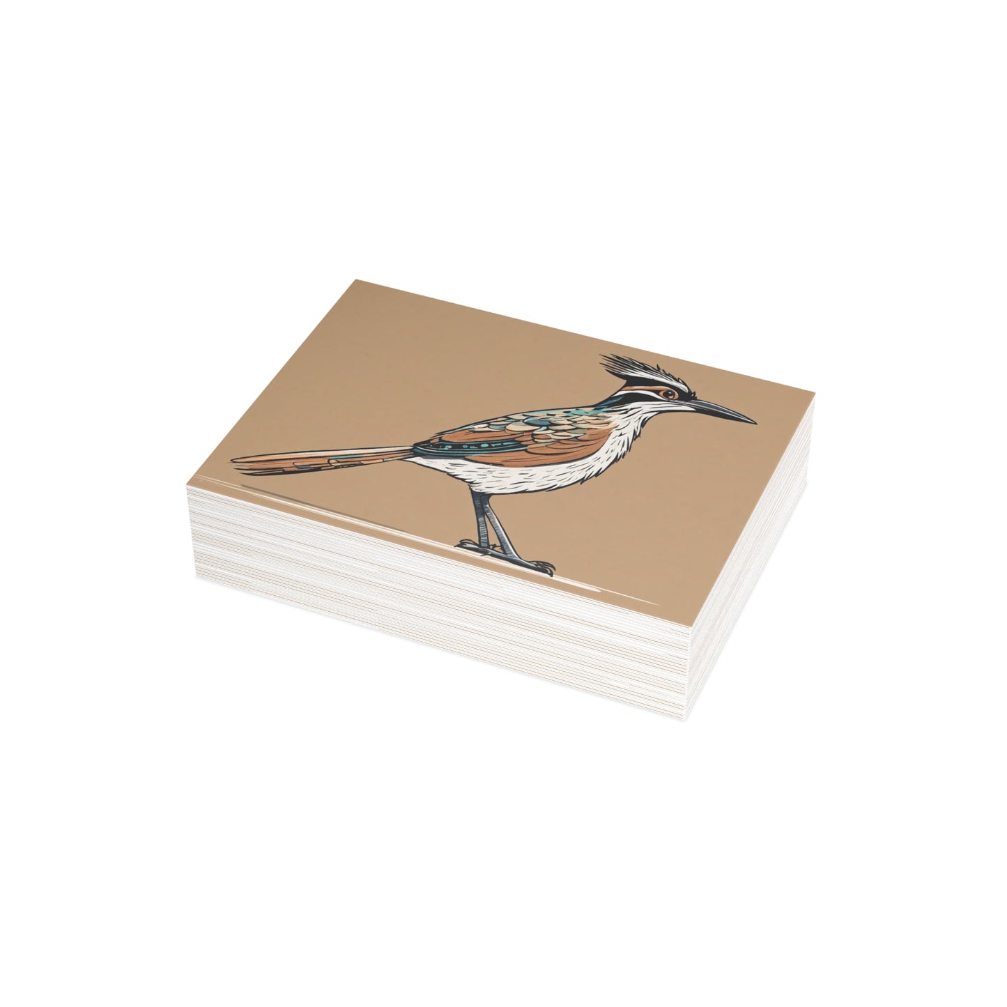 Roadrunner Postcard Bundles (envelopes not included)