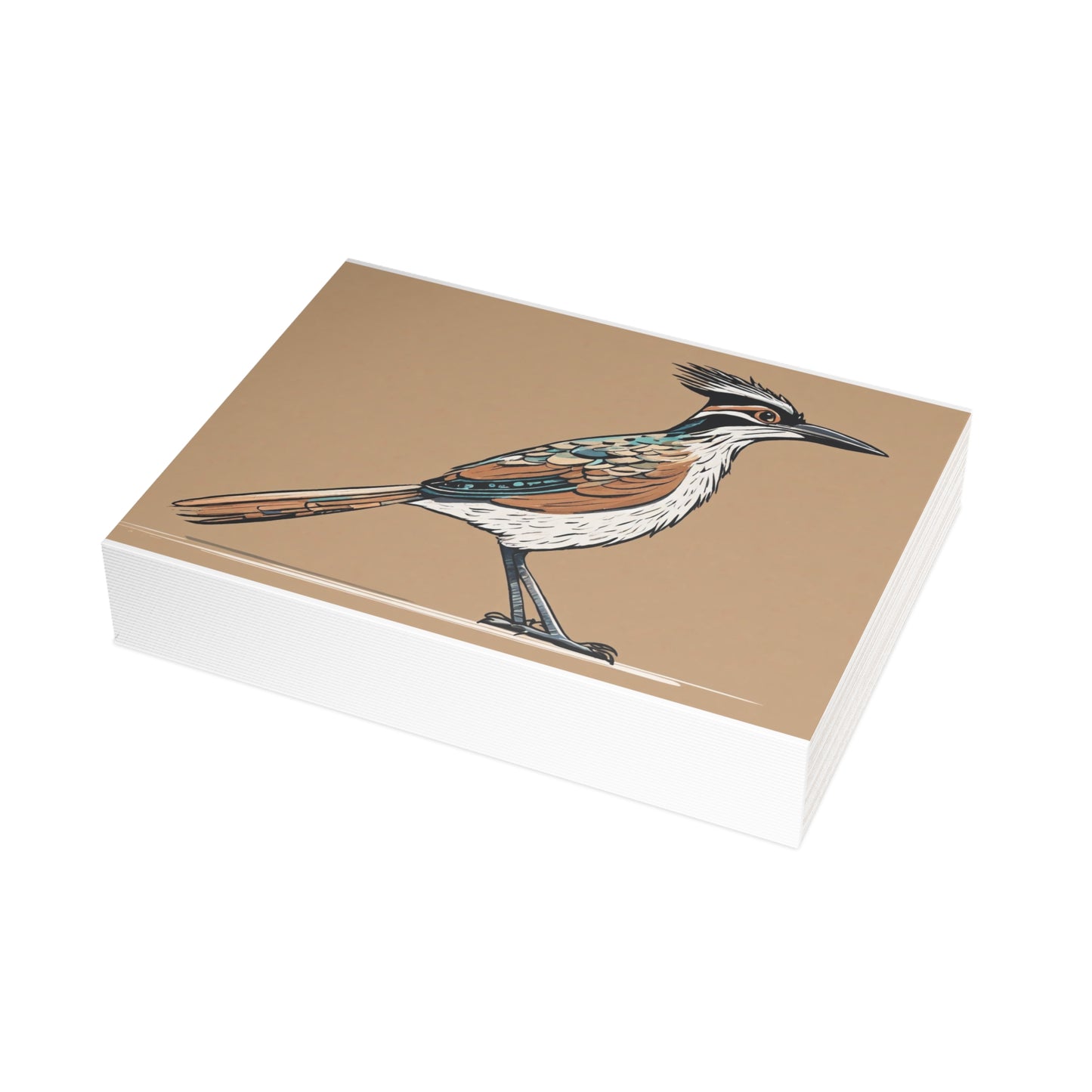 Roadrunner Postcard Bundles (envelopes not included)