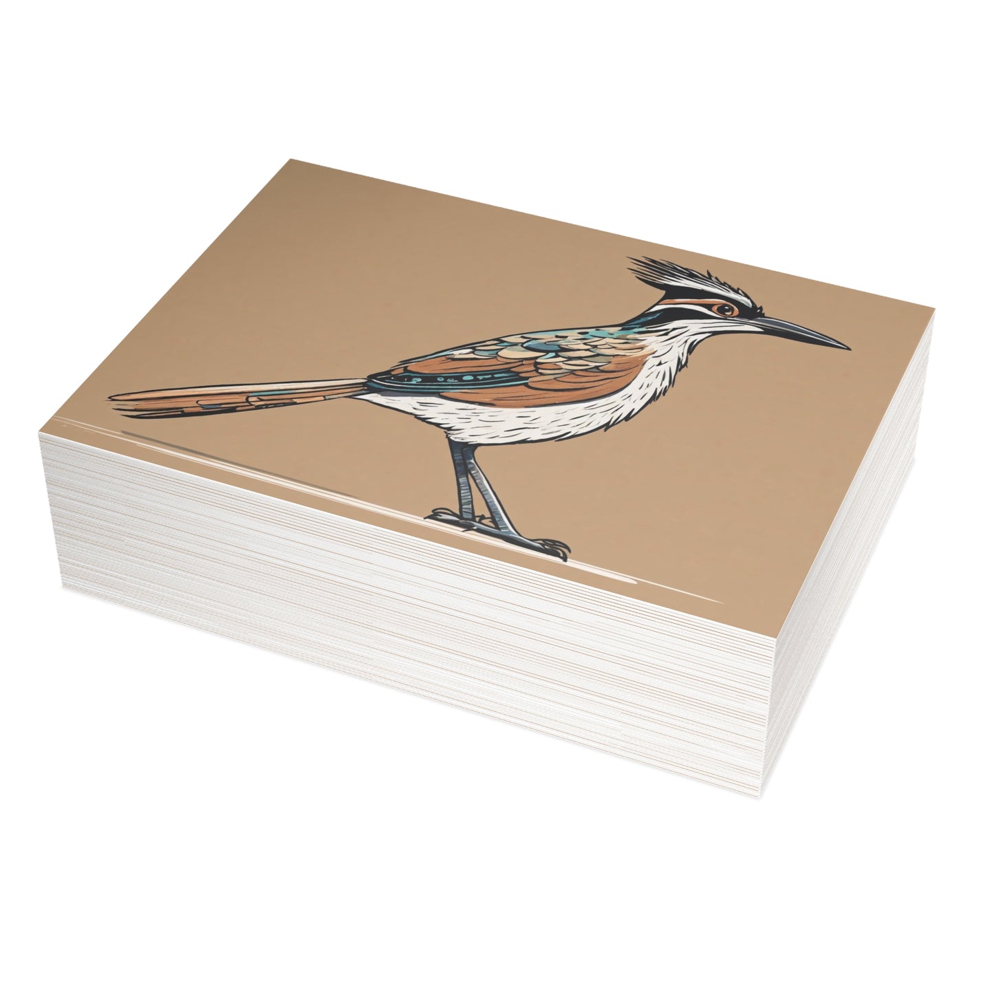 Roadrunner Postcard Bundles (envelopes not included)