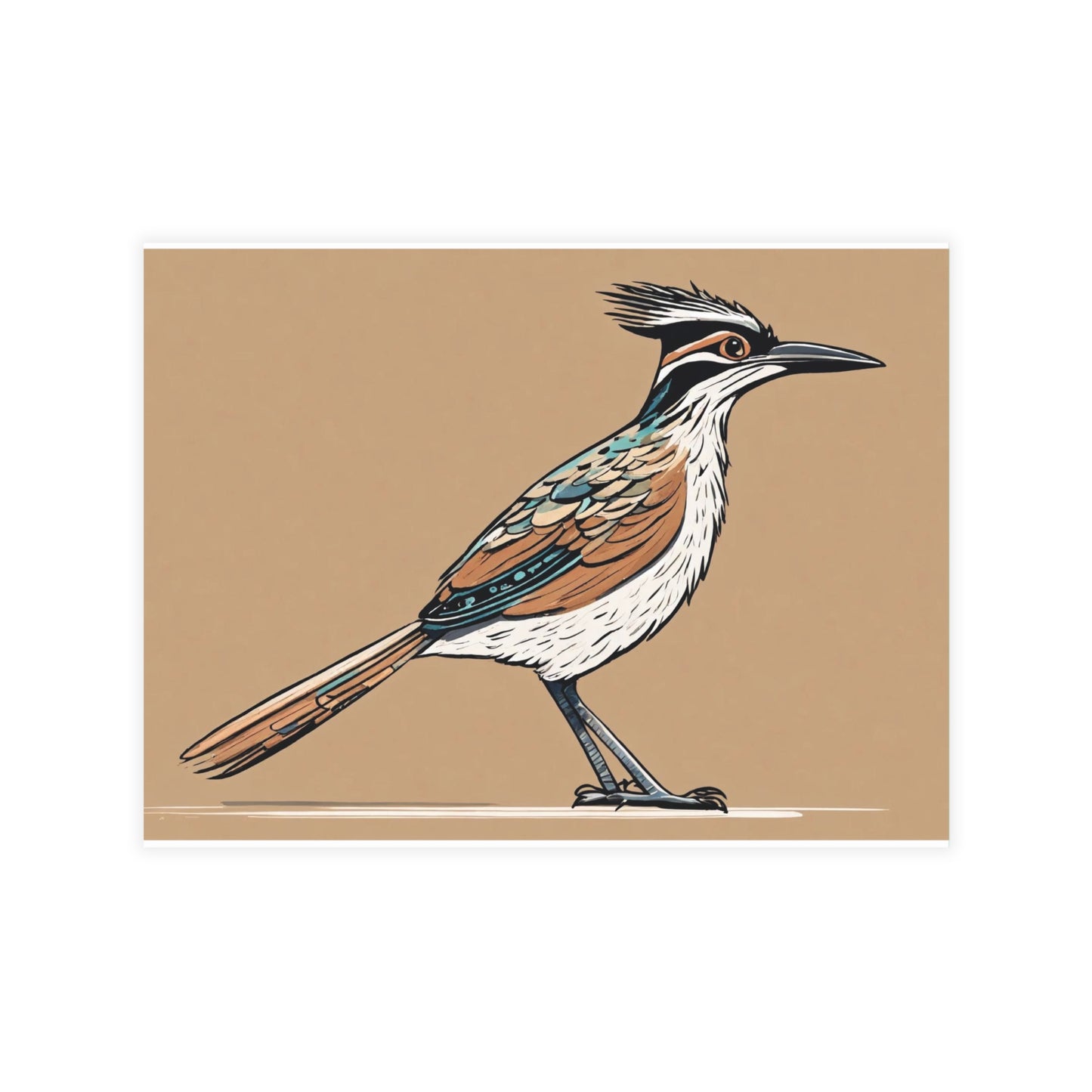 Roadrunner Postcard Bundles (envelopes not included)