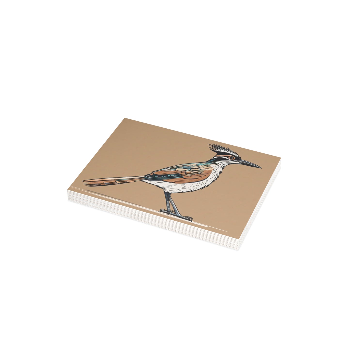 Roadrunner Postcard Bundles (envelopes not included)