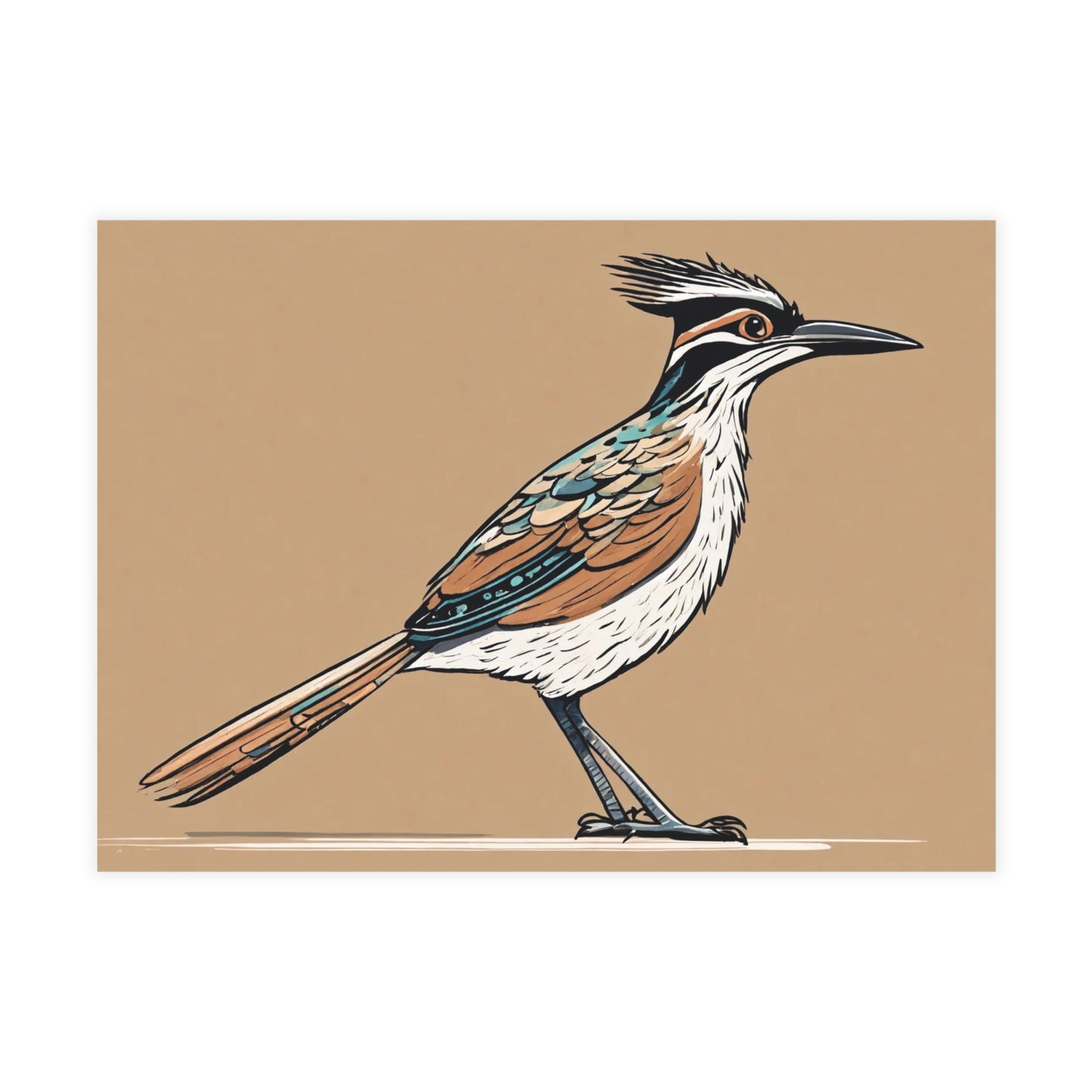 Roadrunner Postcard Bundles (envelopes not included)