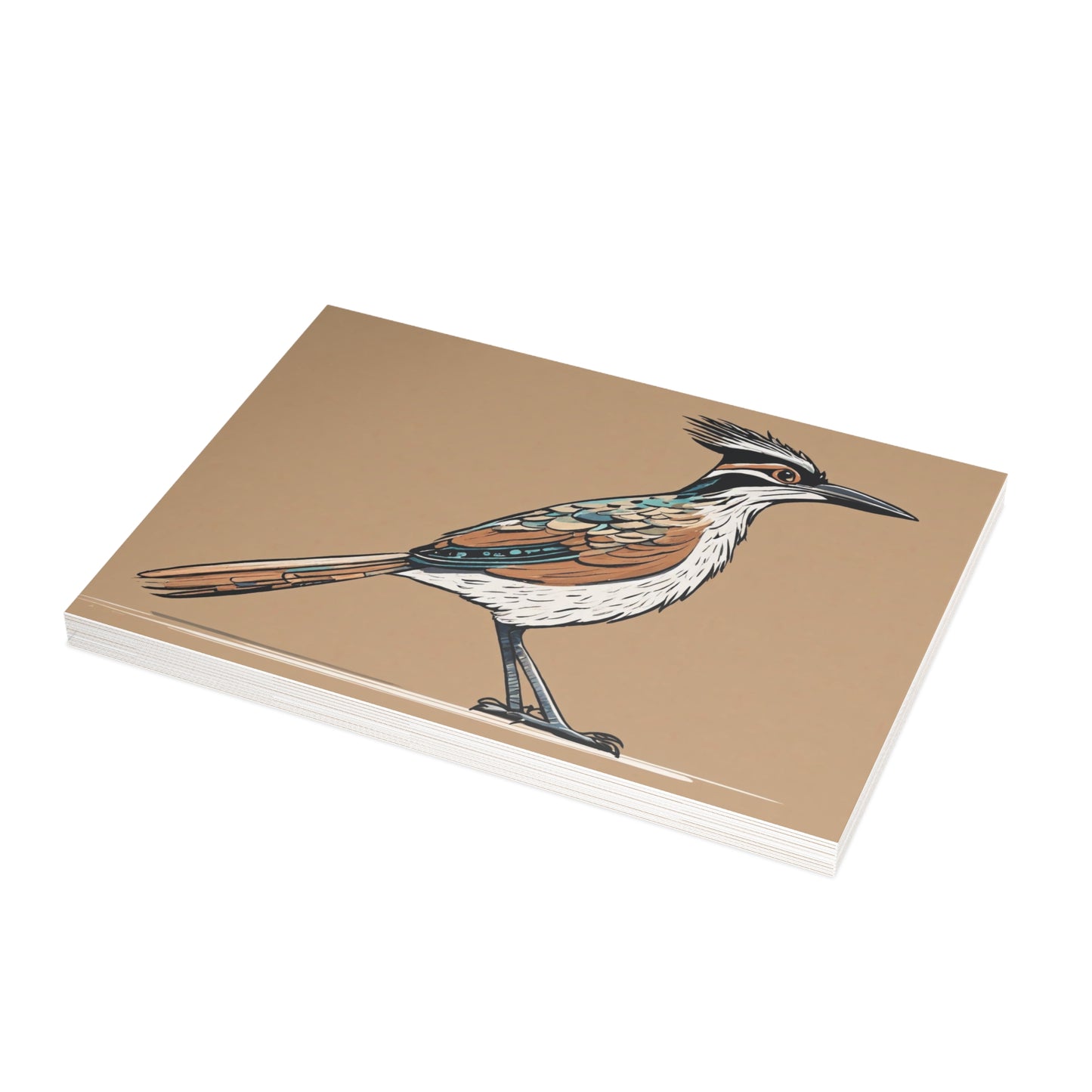 Roadrunner Postcard Bundles (envelopes not included)