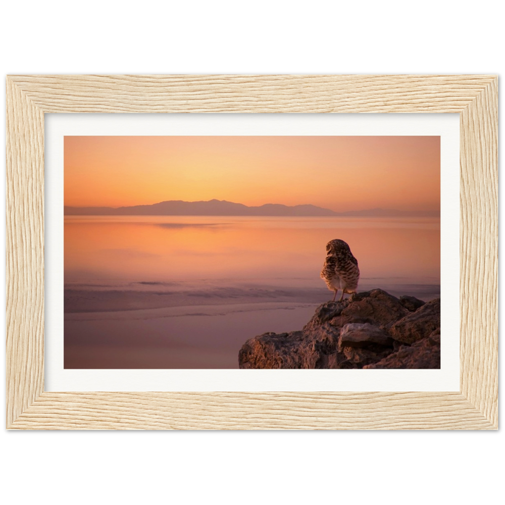 Salton Sea Burrow Owls Museum-Quality Matte Paper Wooden Framed Poster