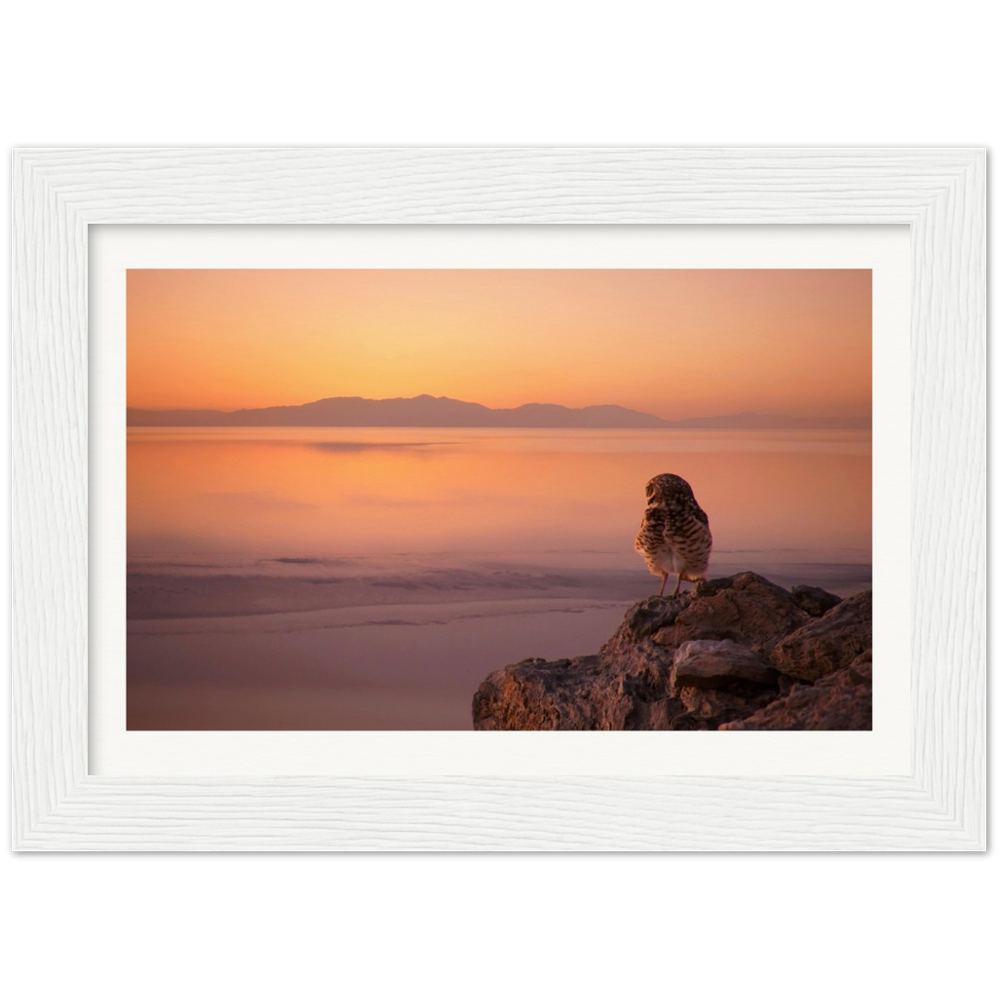 Salton Sea Burrow Owls Museum-Quality Matte Paper Wooden Framed Poster