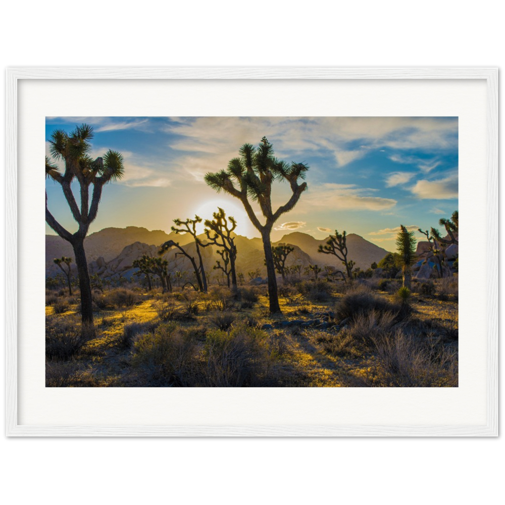 Joshua Tree Museum-Quality Matte Paper Wooden Framed Poster