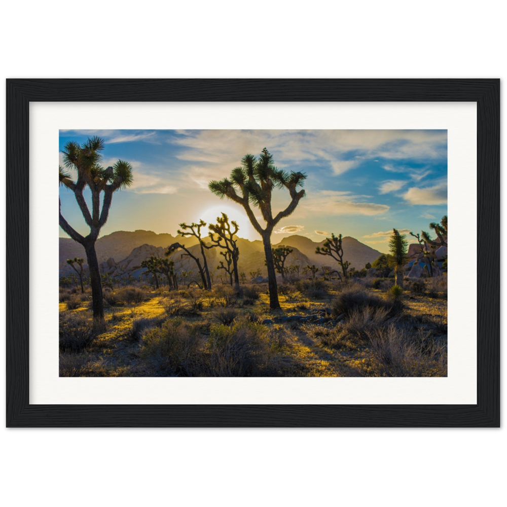 Joshua Tree Museum-Quality Matte Paper Wooden Framed Poster