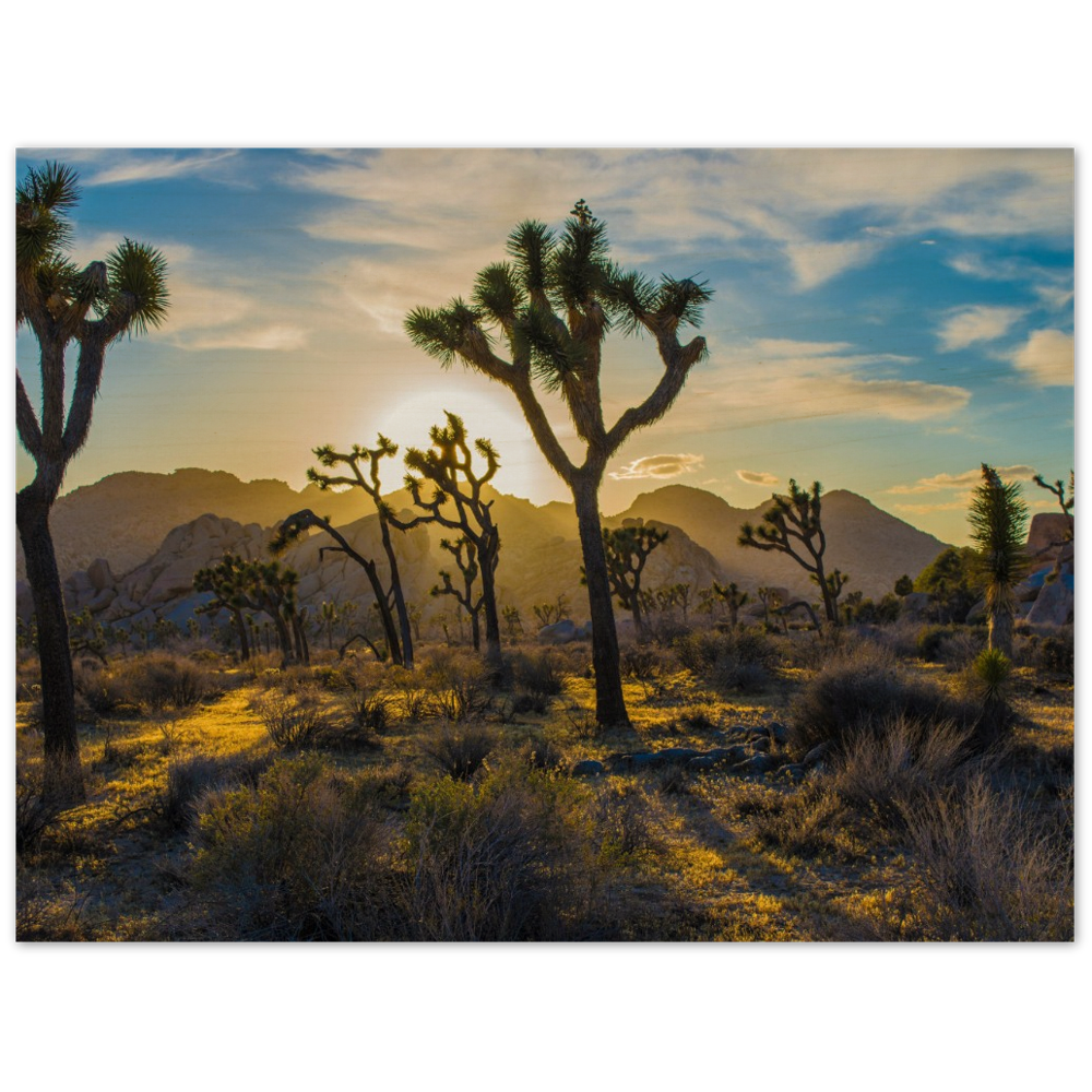 Joshua Tree Wood Prints