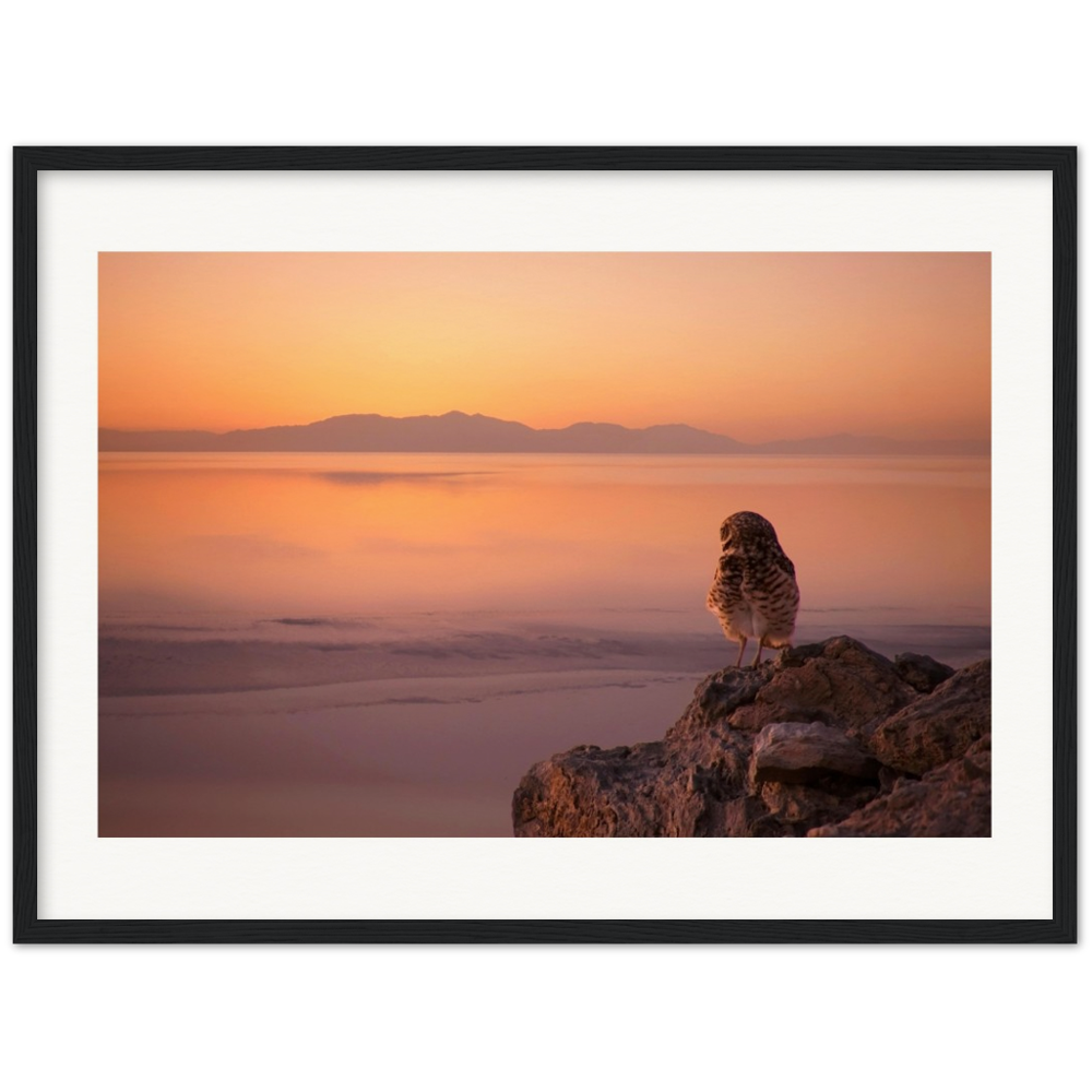 Salton Sea Burrow Owls Museum-Quality Matte Paper Wooden Framed Poster