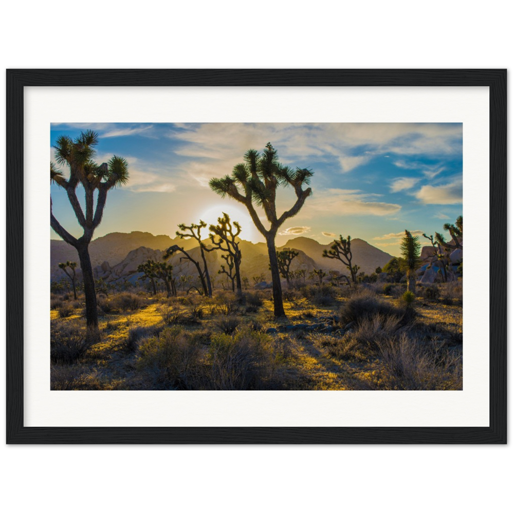 Joshua Tree Museum-Quality Matte Paper Wooden Framed Poster