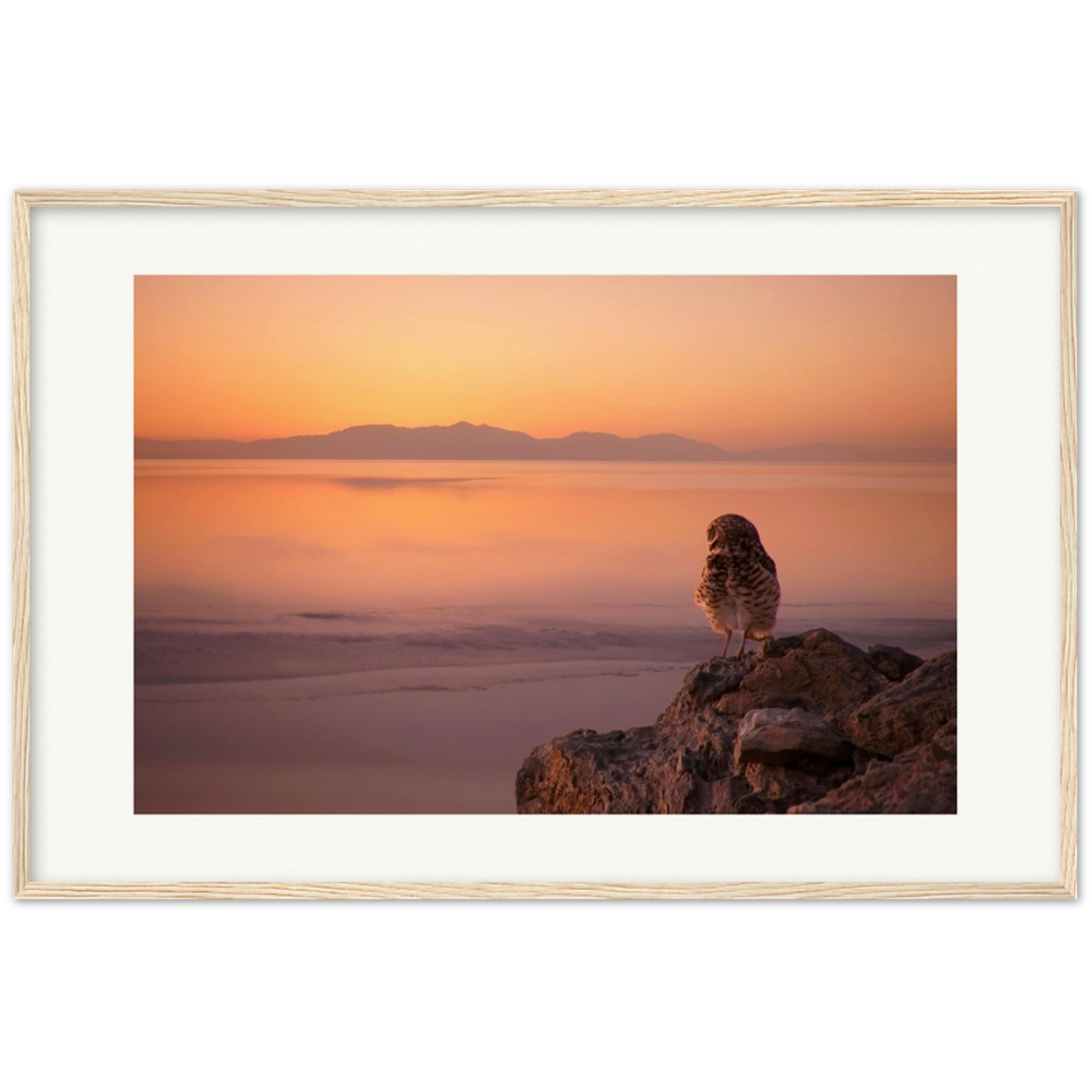 Salton Sea Burrow Owls Museum-Quality Matte Paper Wooden Framed Poster