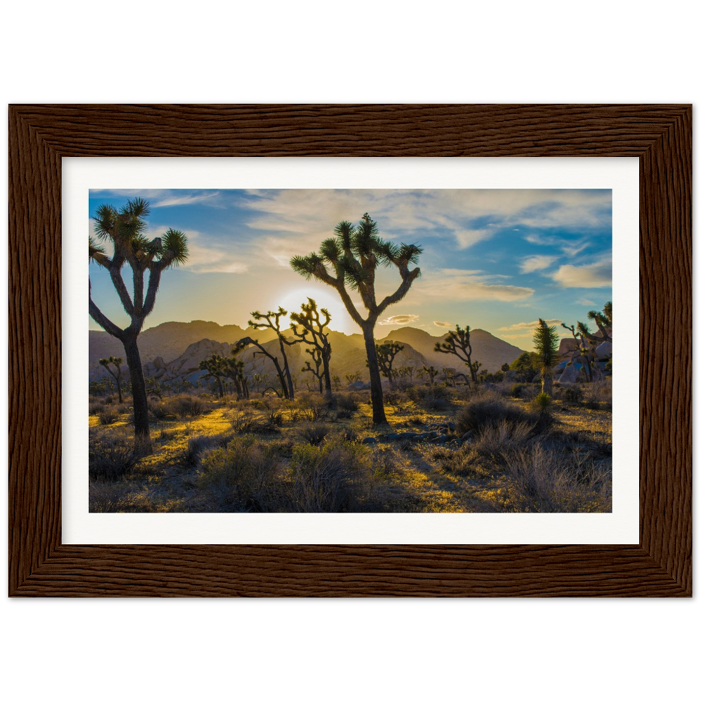 Joshua Tree Museum-Quality Matte Paper Wooden Framed Poster