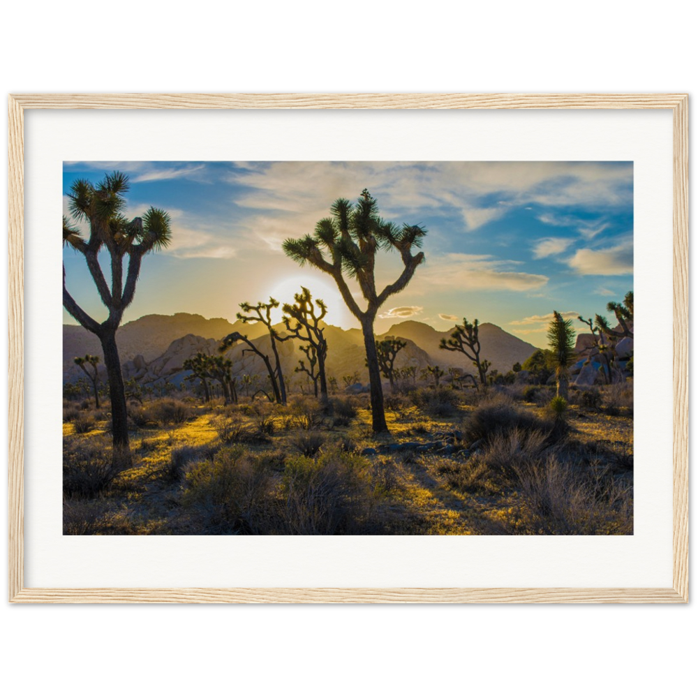 Joshua Tree Museum-Quality Matte Paper Wooden Framed Poster