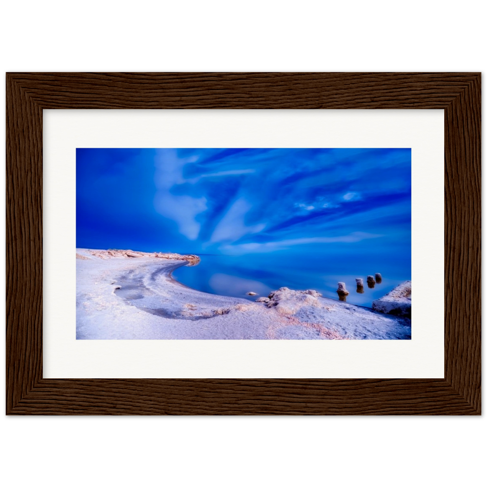 Salton Sea Beach - Museum-Quality Matte Paper Wooden Framed Poster