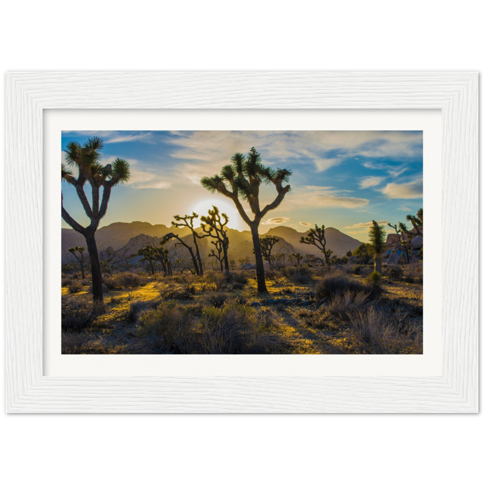 Joshua Tree Museum-Quality Matte Paper Wooden Framed Poster