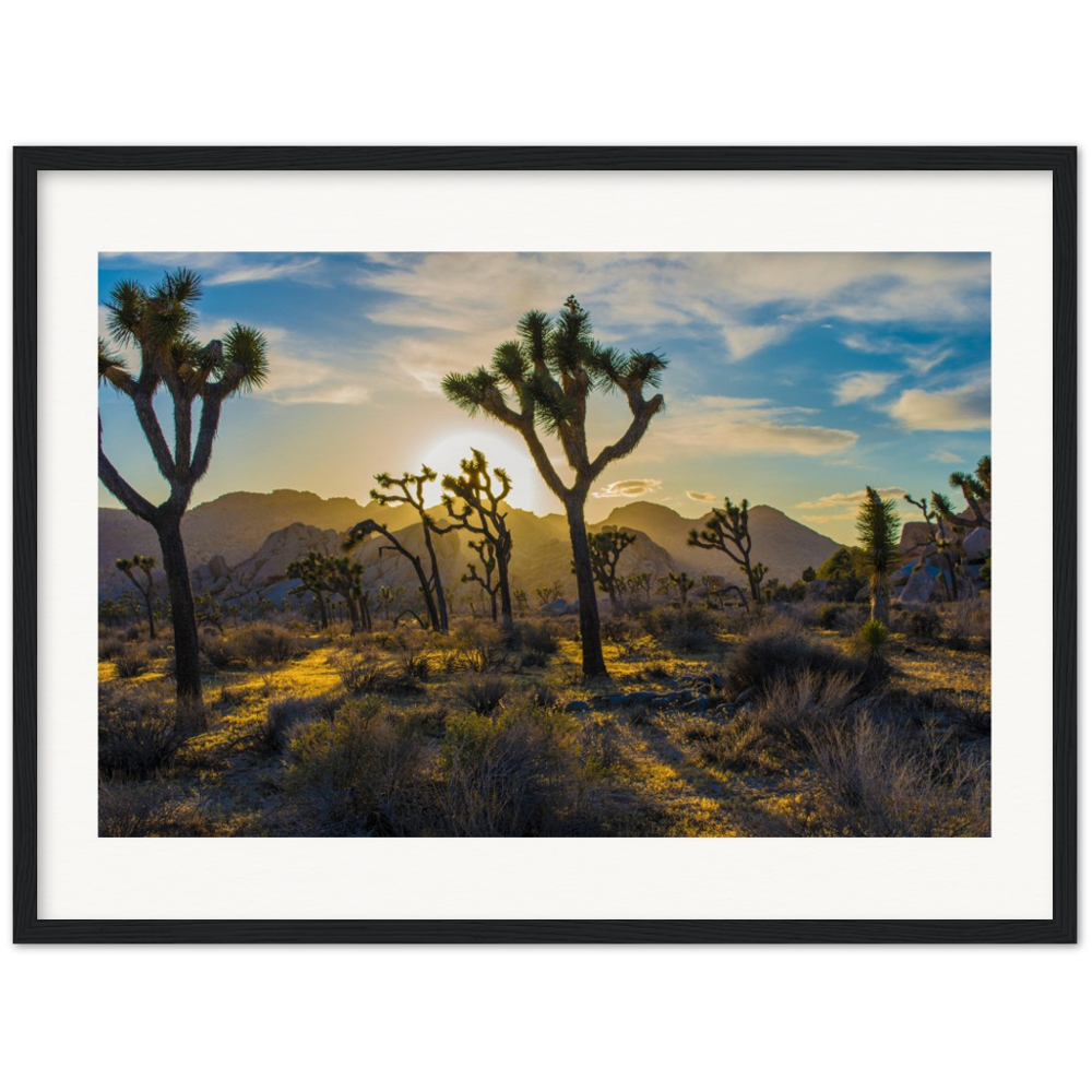 Joshua Tree Museum-Quality Matte Paper Wooden Framed Poster