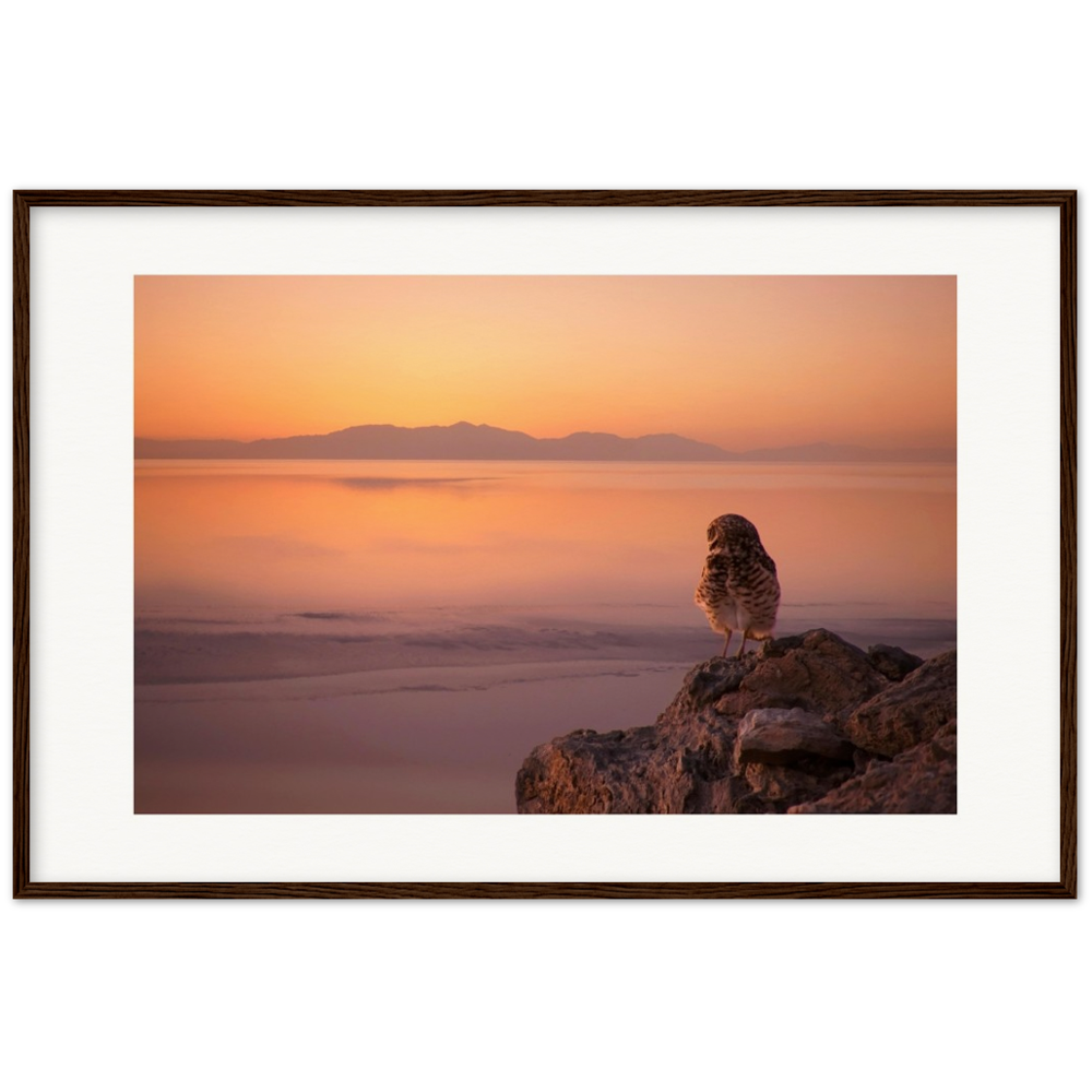 Salton Sea Burrow Owls Museum-Quality Matte Paper Wooden Framed Poster