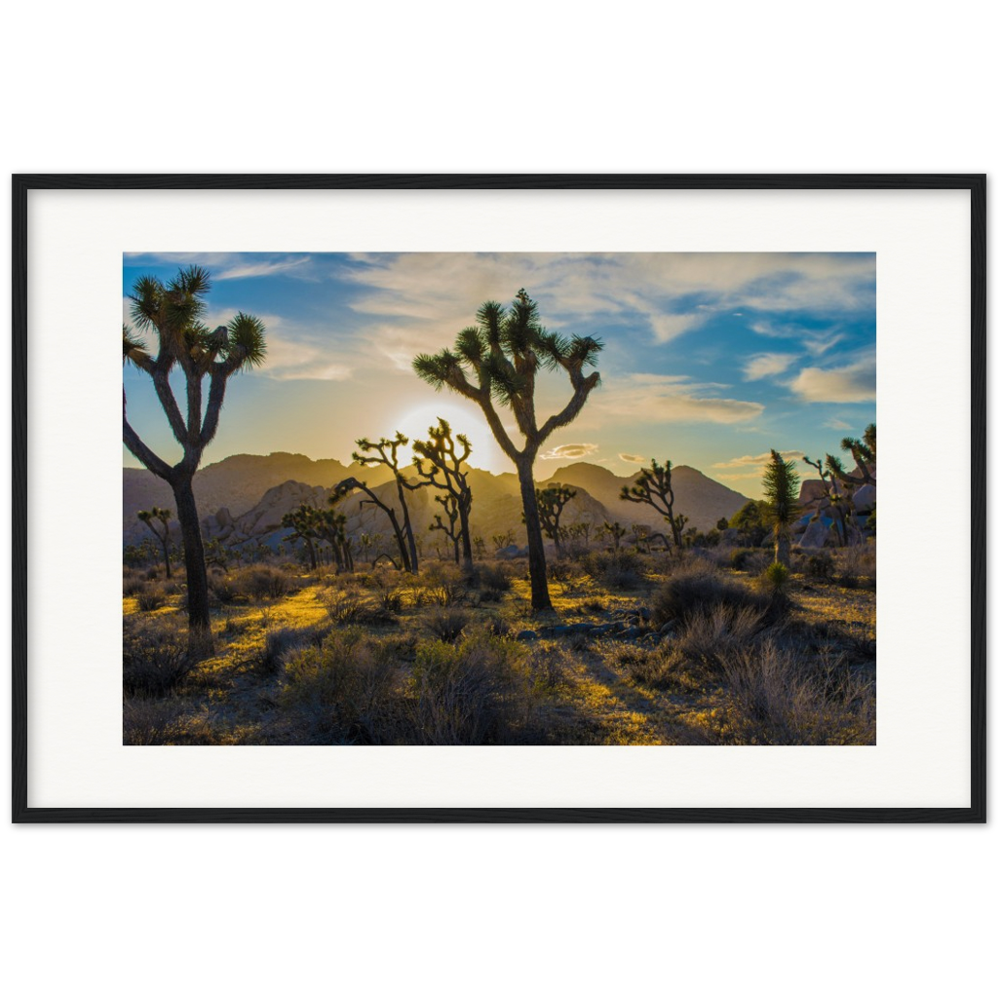 Joshua Tree Museum-Quality Matte Paper Wooden Framed Poster