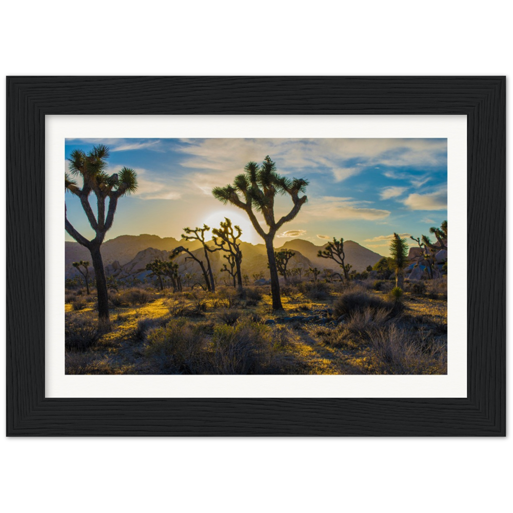 Joshua Tree Museum-Quality Matte Paper Wooden Framed Poster