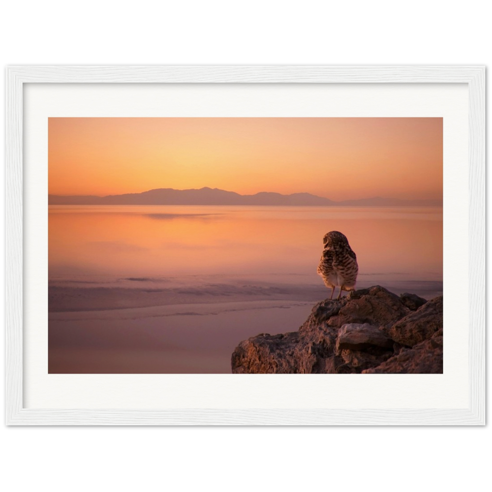 Salton Sea Burrow Owls Museum-Quality Matte Paper Wooden Framed Poster