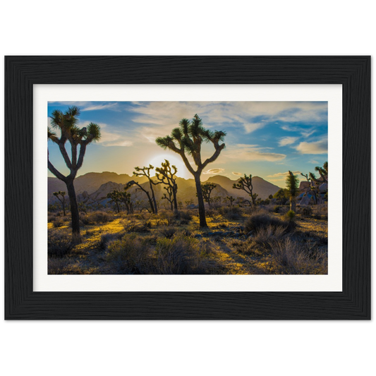 Joshua Tree Museum-Quality Matte Paper Wooden Framed Poster