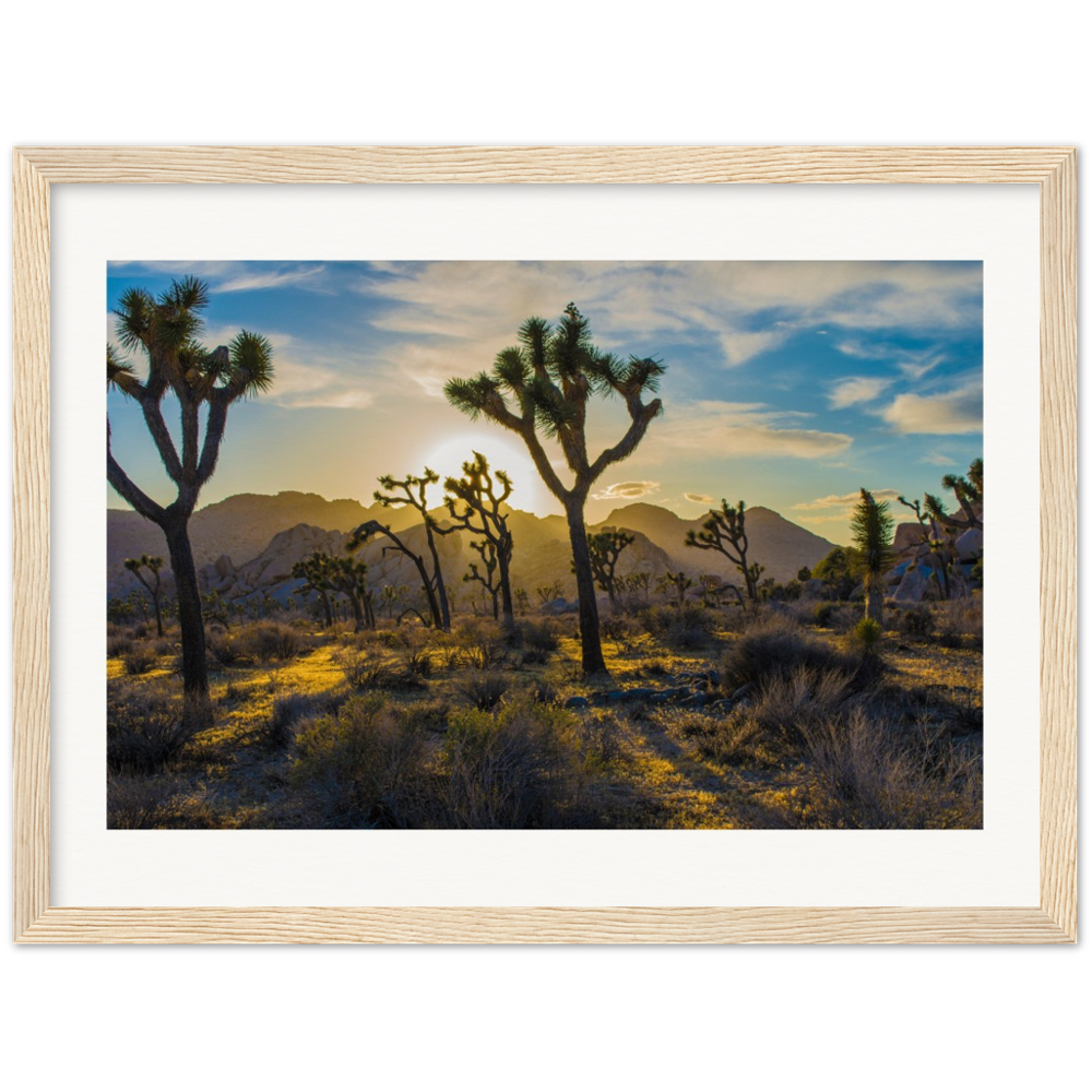 Joshua Tree Museum-Quality Matte Paper Wooden Framed Poster