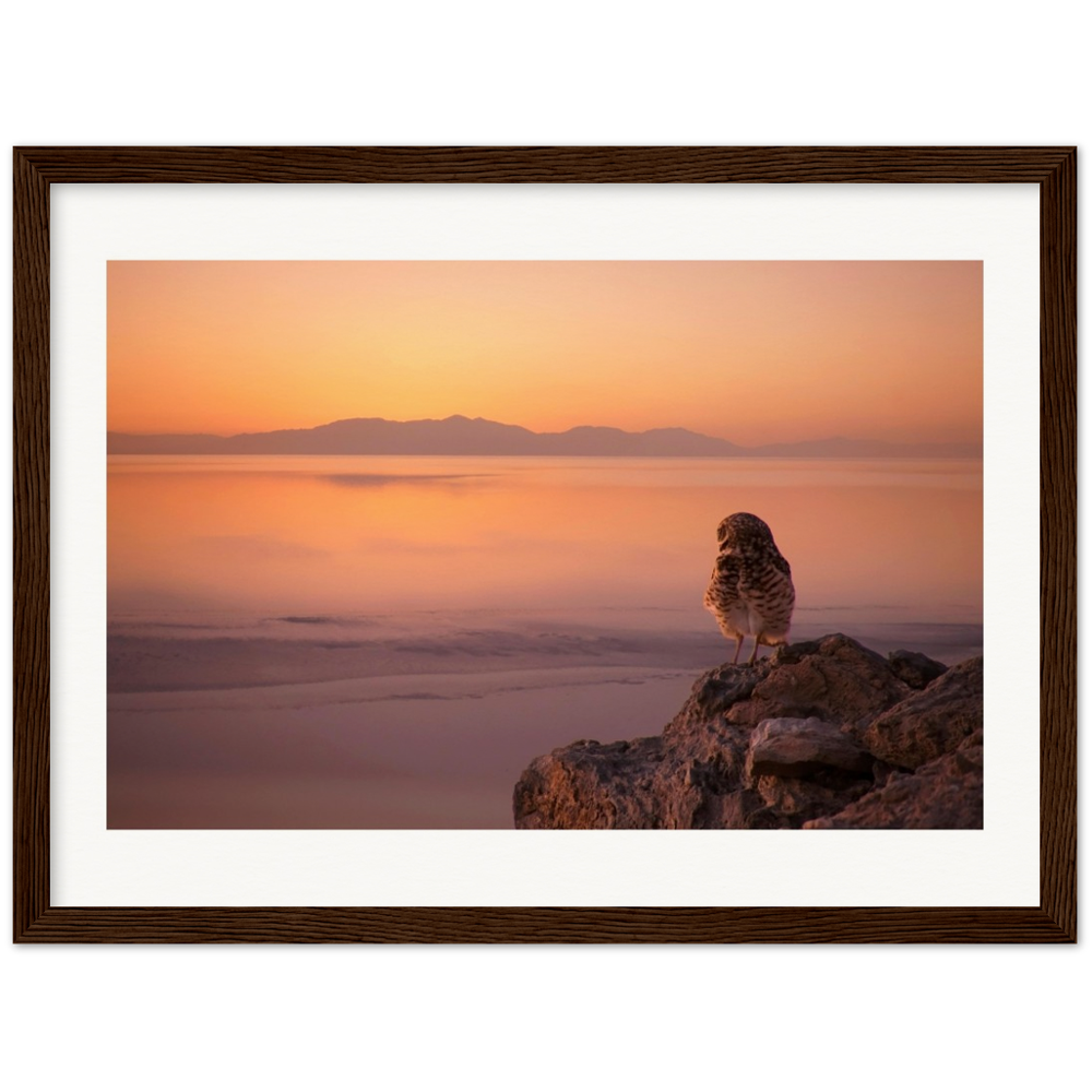 Salton Sea Burrow Owls Museum-Quality Matte Paper Wooden Framed Poster