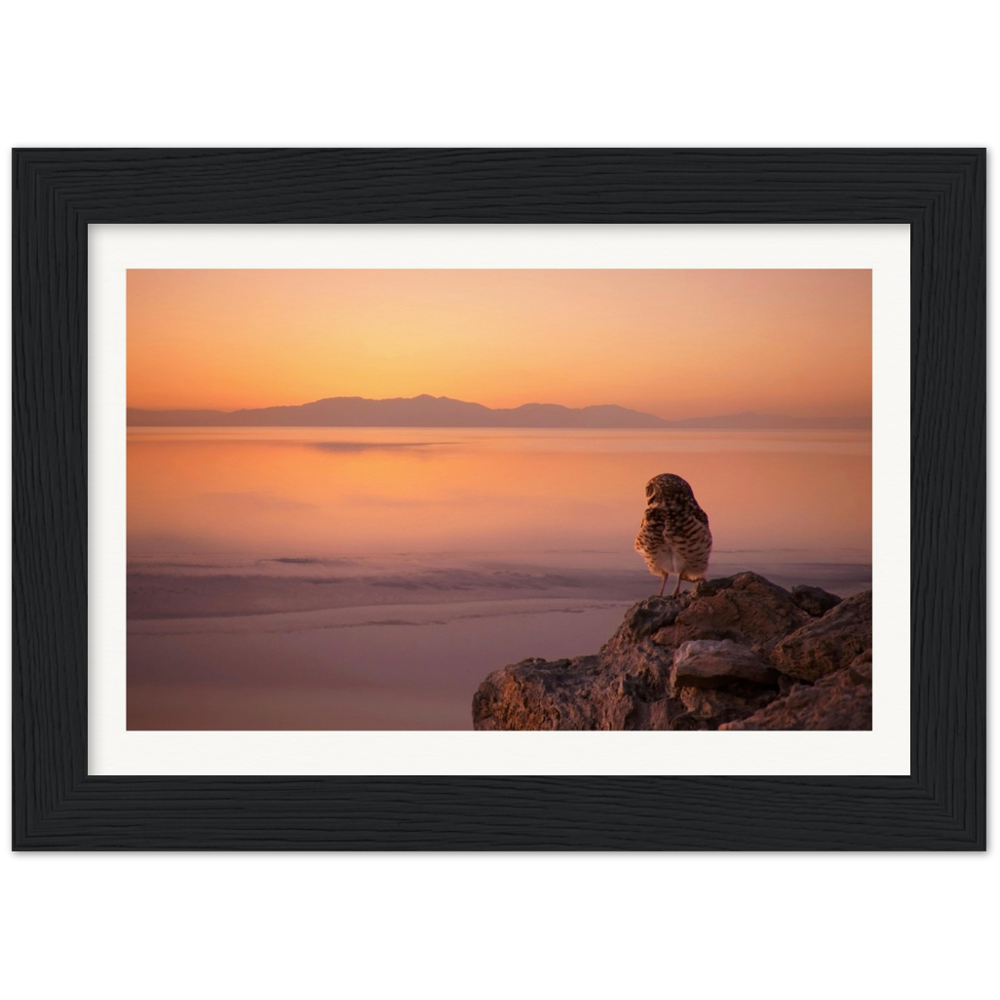 Salton Sea Burrow Owls Museum-Quality Matte Paper Wooden Framed Poster