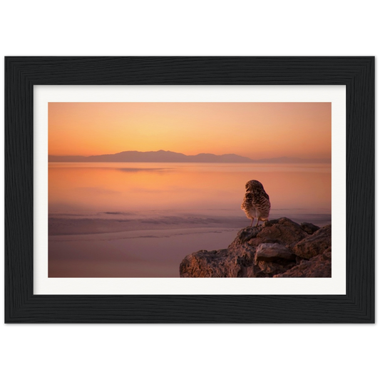 Salton Sea Burrow Owls Museum-Quality Matte Paper Wooden Framed Poster