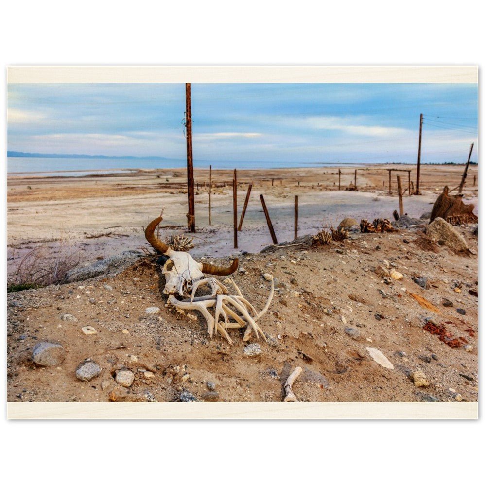 Salton Sea Life in Wood